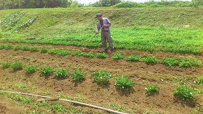 e0270403_15483810.jpg