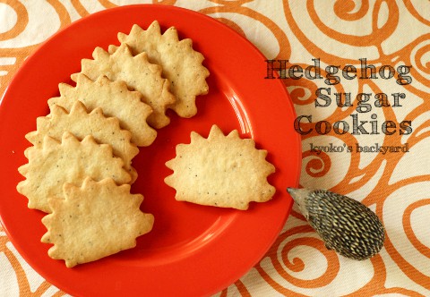 ポピーシード シュガークッキー Kyoko S Backyard アメリカで田舎暮らし