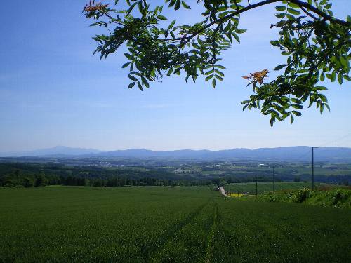 f0206605_1946342.jpg