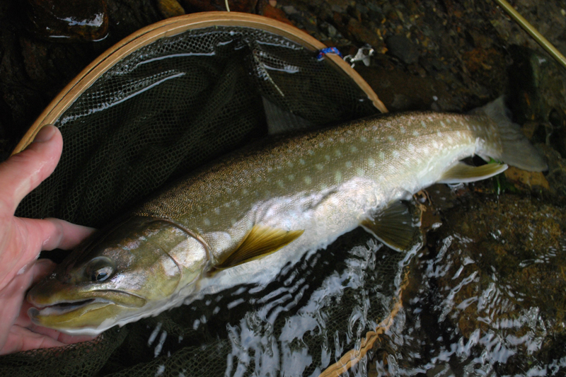 d0051707_21482595.jpg