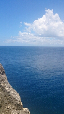 a0167308_0322525.jpg