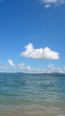 a0167308_0332211.jpg
