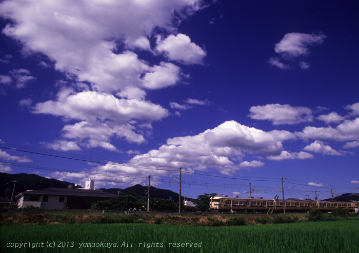 梅雨明け_d0309612_21282799.jpg