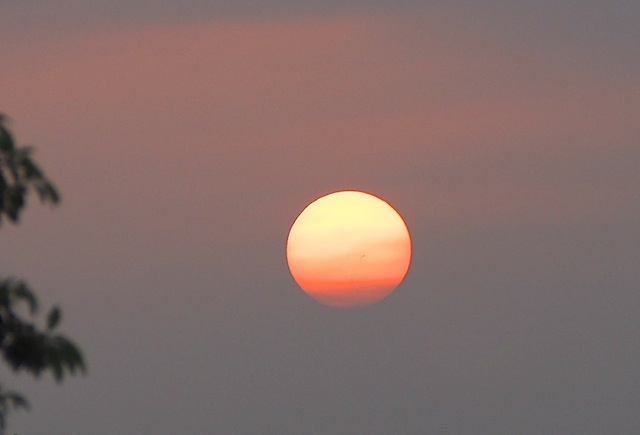 c0248013_2018023.jpg