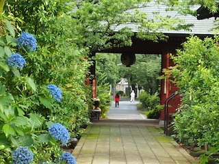 c0248013_2028212.jpg