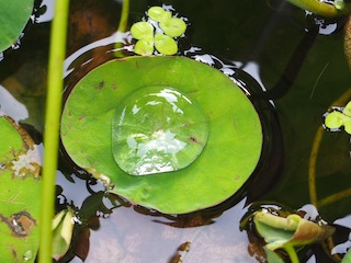 c0248013_203048100.jpg