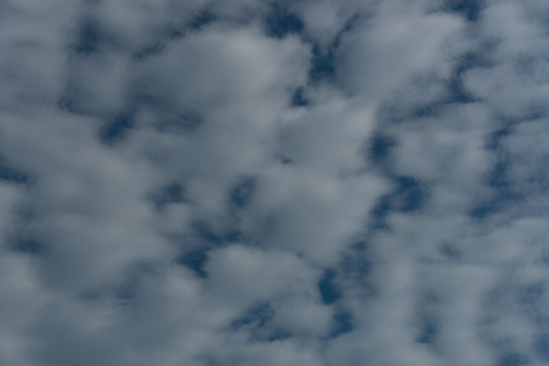 a0278914_10311577.jpg
