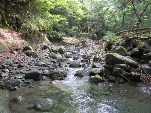 b0121015_2259956.jpg