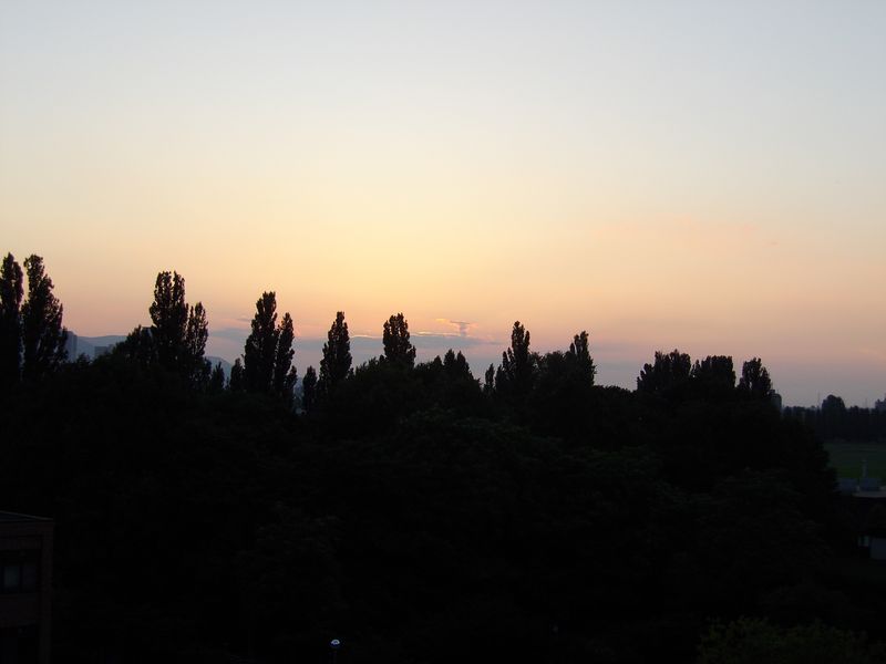 さらに暑い真夏日_c0025115_19274915.jpg