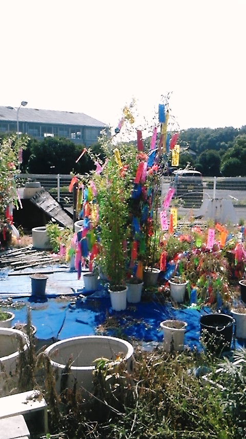 b0080718_8555736.jpg