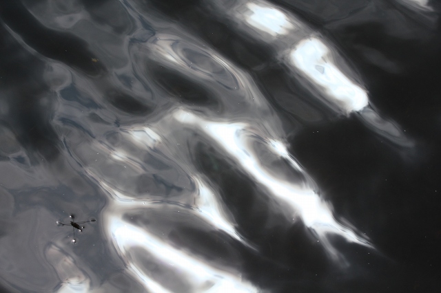 e0242721_84492.jpg