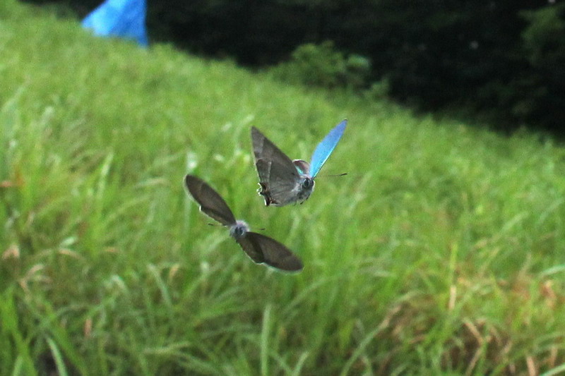 d0090322_21454139.jpg