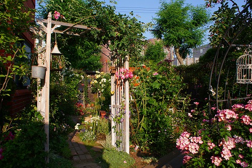 f0170524_941447.jpg
