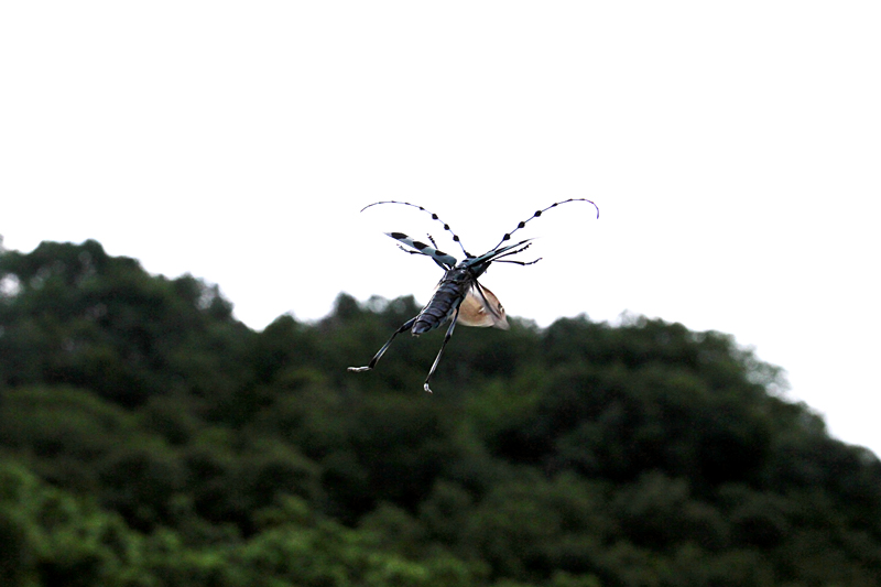 d0054625_2361550.jpg