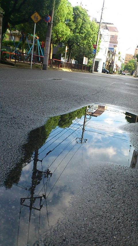 水たまりは水鏡_b0197533_7224054.jpg