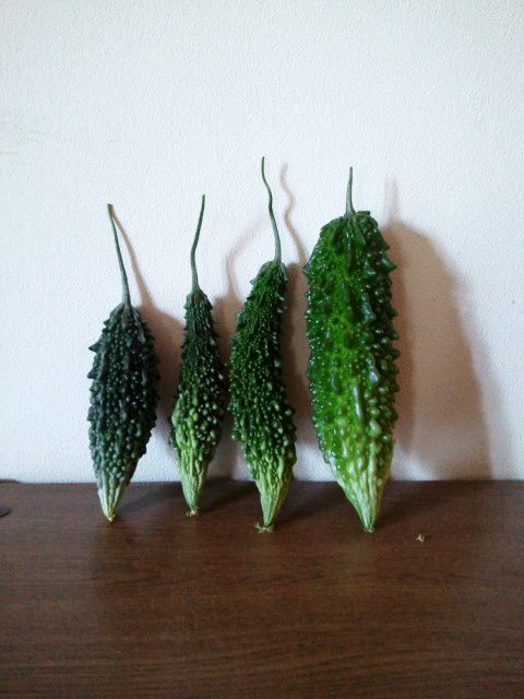 c0195134_18522699.jpg