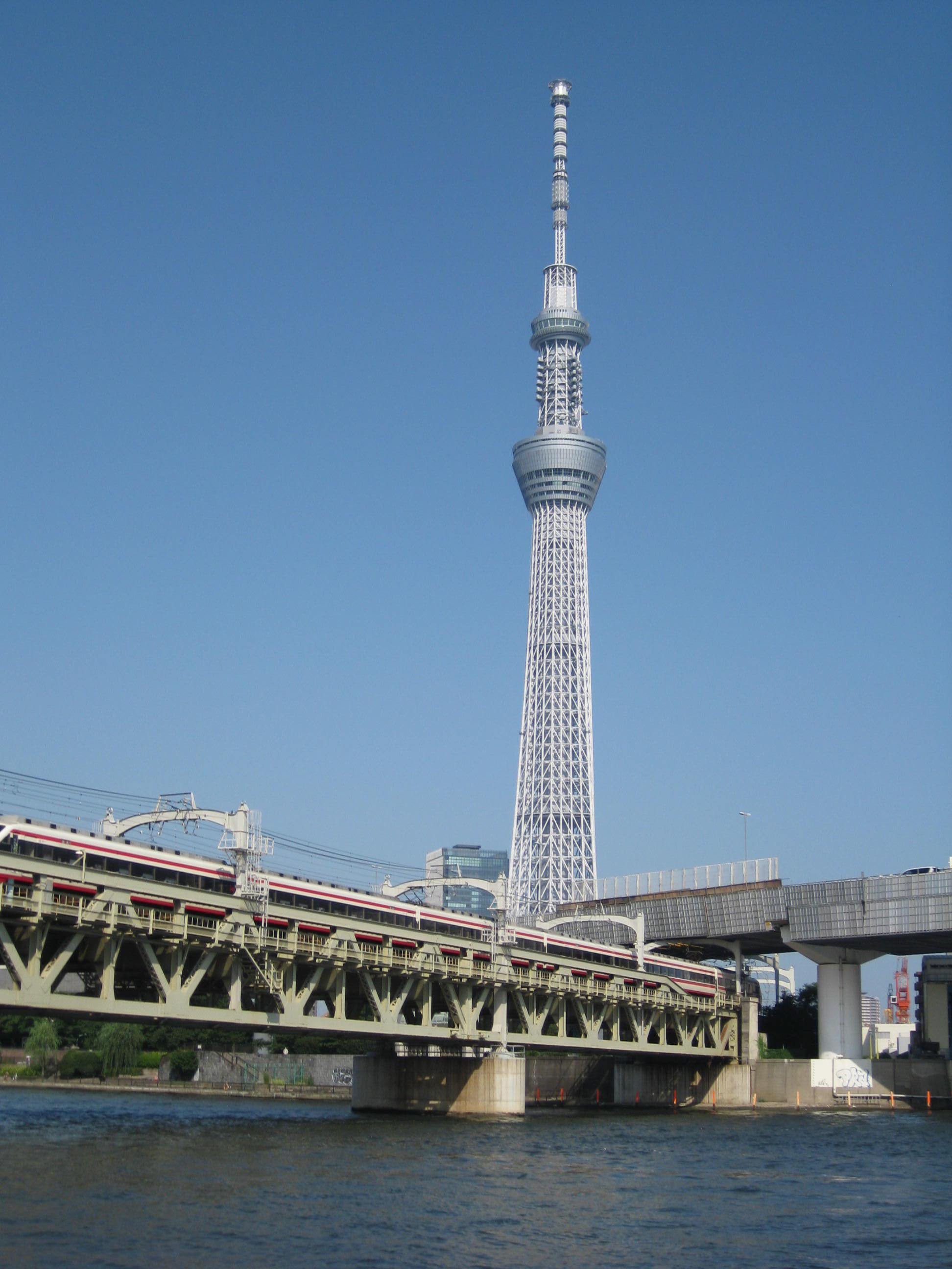 a0158236_2011927.jpg