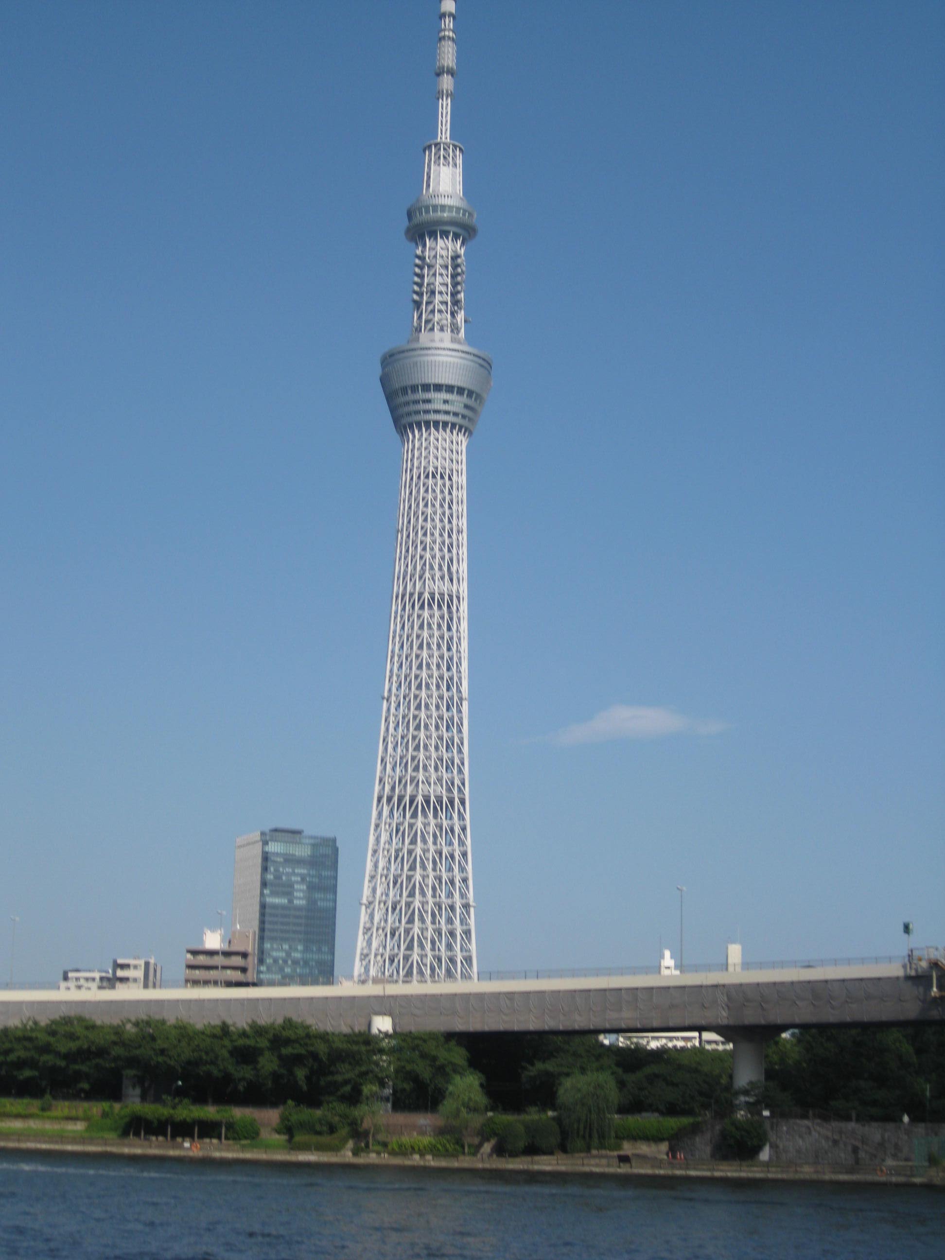 a0158236_20152335.jpg