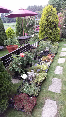 a0276937_21373278.jpg