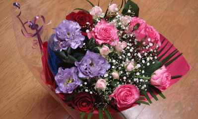 b0046050_15301114.gif