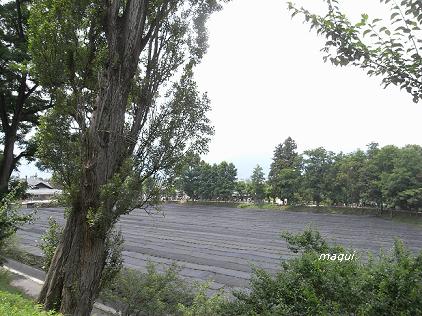 c0098050_2101572.jpg