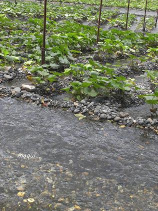 c0098050_2102127.jpg