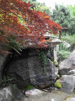 c0098050_2103981.jpg