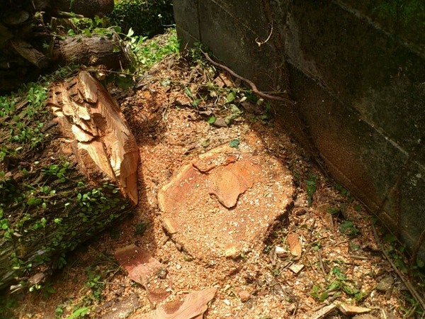 f0063356_94237.jpg