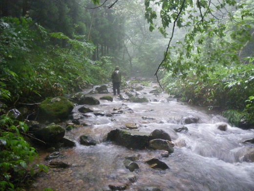 また雨か・・・　斐伊川へまた遊びに来ました♪_b0211960_21551959.jpg