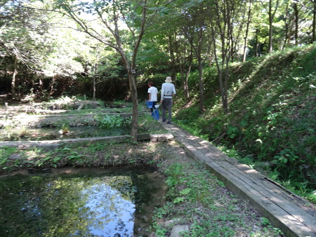 カニを捕獲してマーキング（カニ調査①）　　in　　せんなん里海公園_c0108460_23562091.jpg