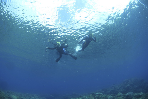 大島海峡のんびりダイブ。_b0062363_2044513.jpg