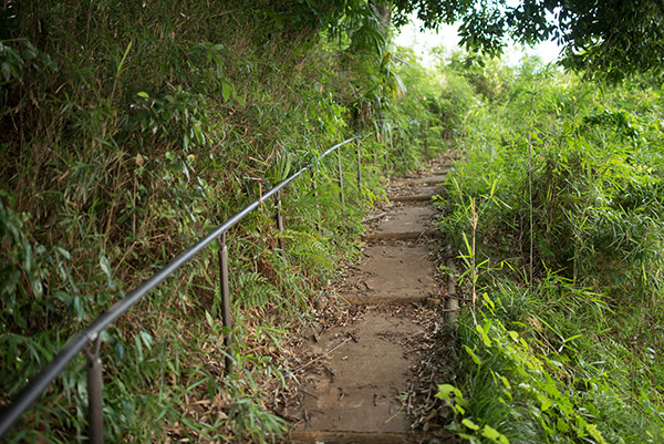 2013/07/07 柿生辺り_b0171364_9255538.jpg