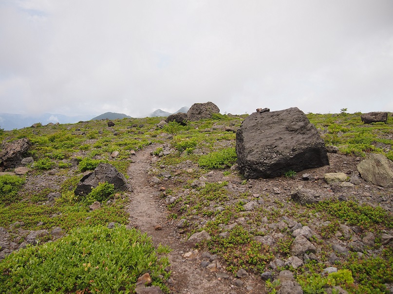 b0281366_13475492.jpg