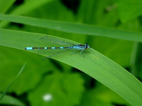 d0084473_21342299.jpg