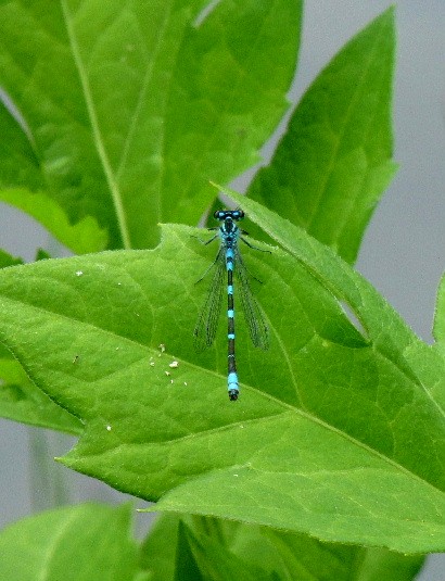 d0084473_2134314.jpg