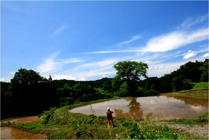 2013-06-11≪新潟・松之山棚田≫_e0136475_23483463.jpg