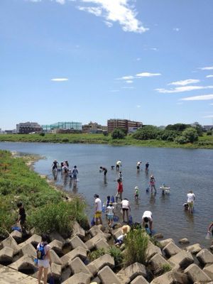 7月7日多摩川でガサガサ_c0091679_15404187.jpg