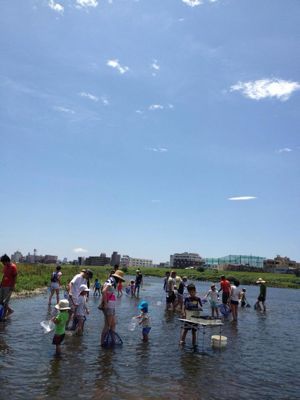 7月7日多摩川でガサガサ_c0091679_15404282.jpg