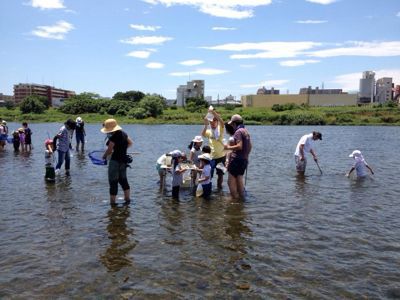 7月7日多摩川でガサガサ_c0091679_1540436.jpg