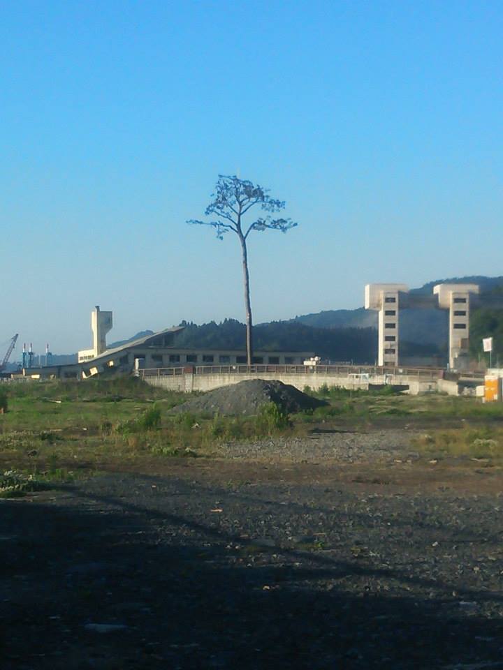 a0247584_86252.jpg