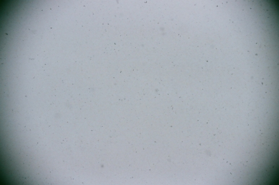 d0180285_9302177.jpg