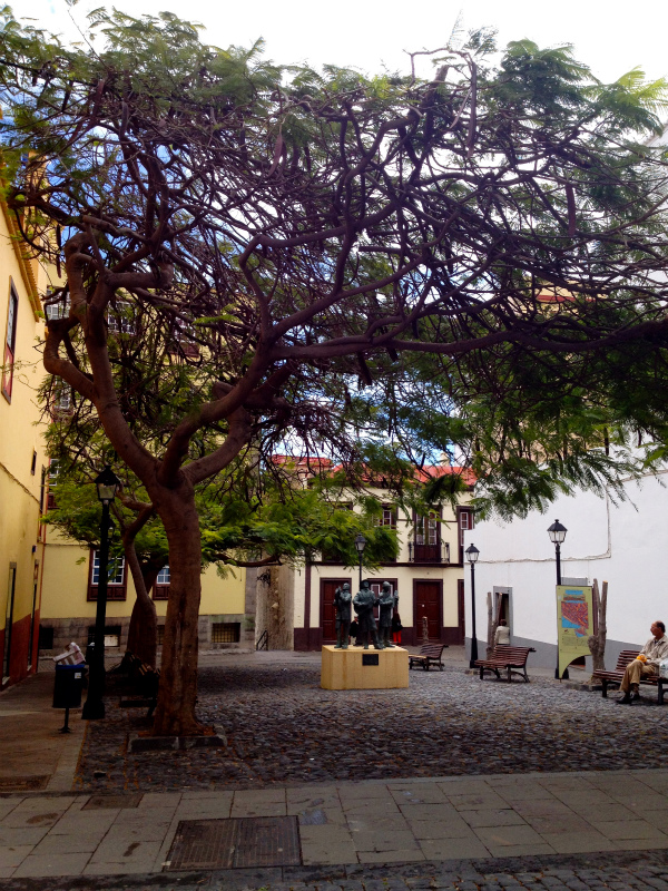2012/05/18 La Palma Again_b0220886_14575.jpg