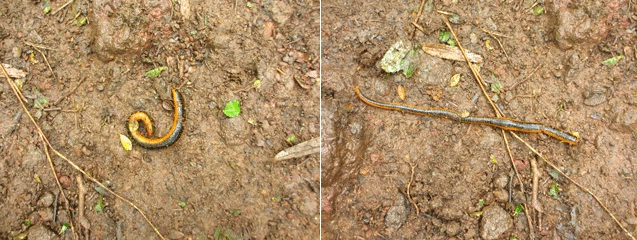 f0110488_0442034.jpg