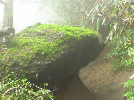 f0110488_0475420.gif