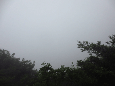 f0110488_055210.gif