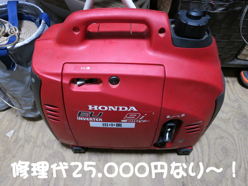 爆弾ハンバーグ山わさびクリームソース食ったったｗｗｗ_b0200291_21264131.jpg