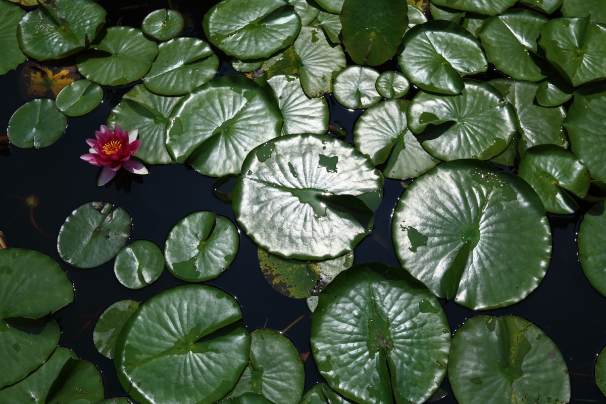 a0155104_014630.jpg