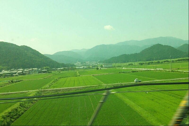 c0212604_9571040.jpg