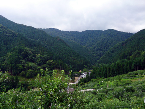 f0217905_940095.jpg