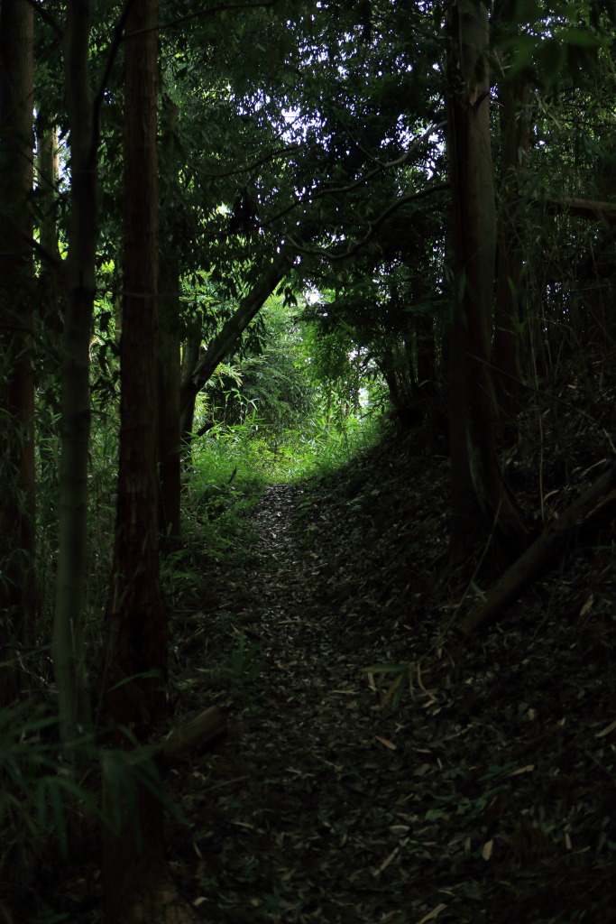 談山神社から石舞台まで散歩。つづき_a0123415_21445041.jpg